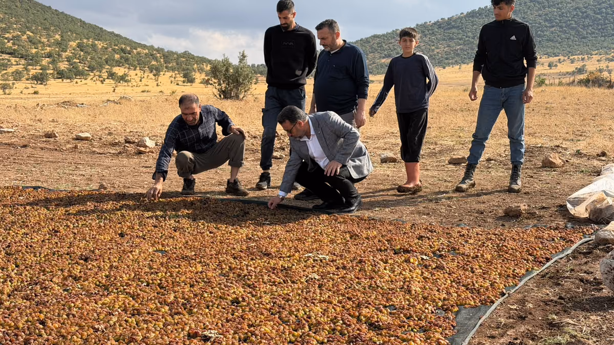 BAŞARAN’DAN ÜZÜM ÜRETİCİLERİNİN MAĞDURİYETİ İÇİN ÇAĞRI (1)