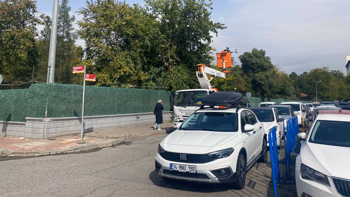 226 PARKTA AĞAÇLAR KIŞA HAZIRLANIYOR (1)