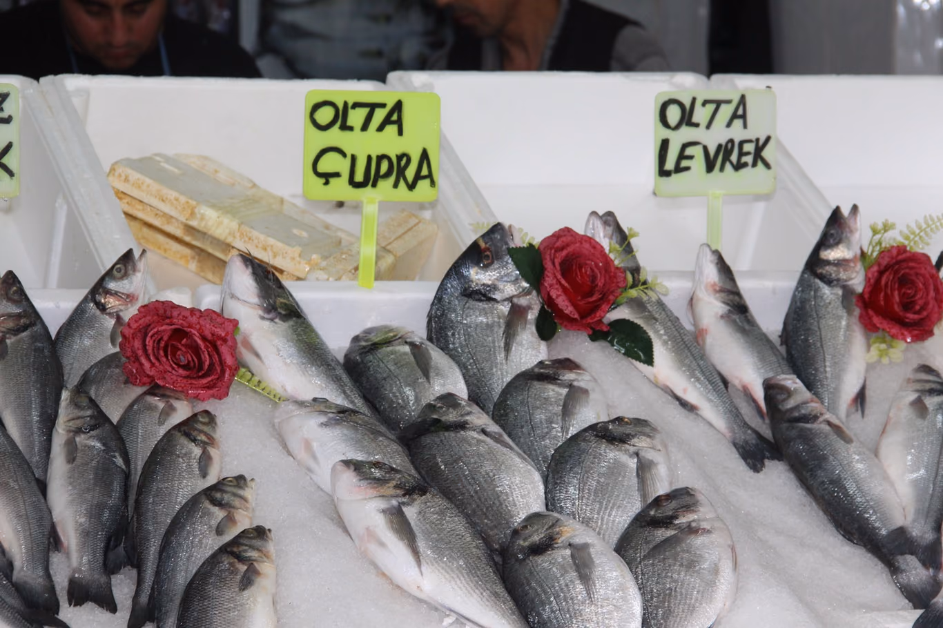 BALIKTA BEREKET FİYATLAR CEP YAKMIYOR (2)