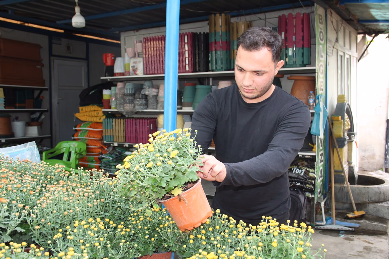FİDAN VE ÇİÇEK SATIŞLARINDA SONBAHAR HAREKETLİLİĞİ (3)