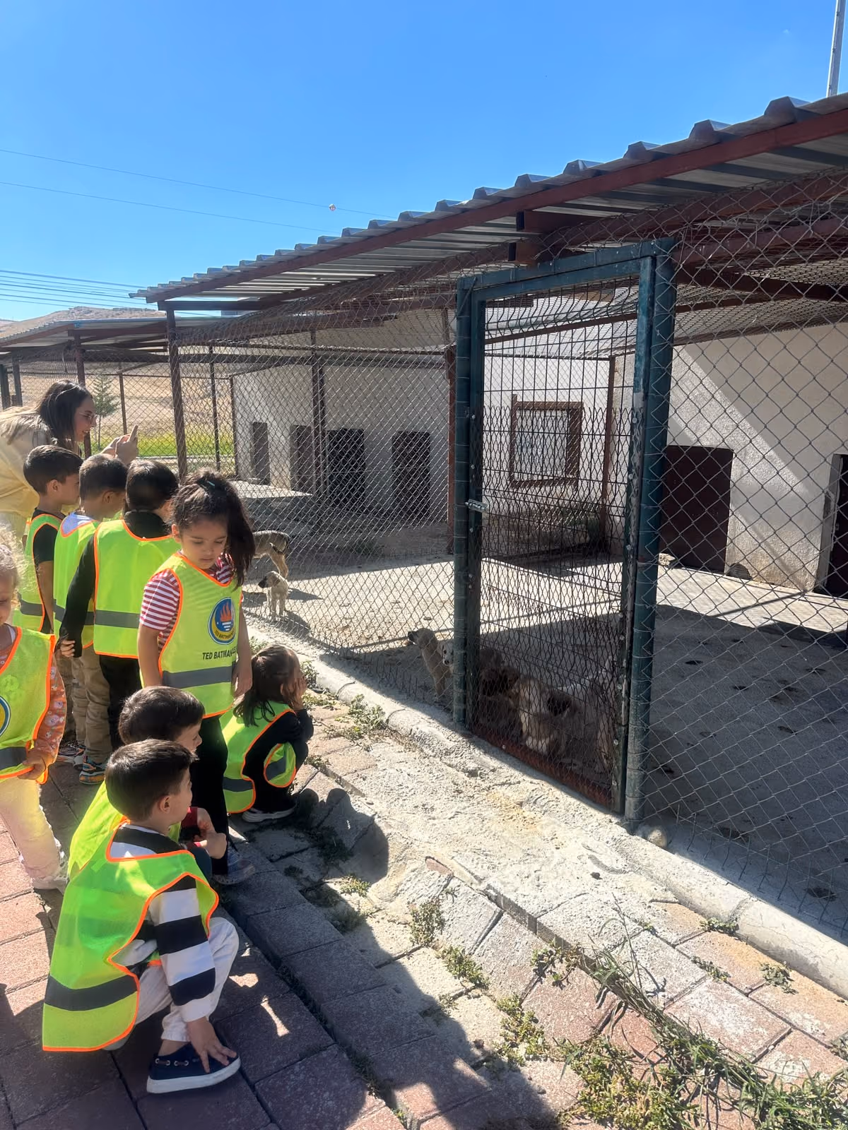 MİNİK ÖĞRENCİLERDEN HAYVANLARA SEVGİ DOLU ZİYARET (4)
