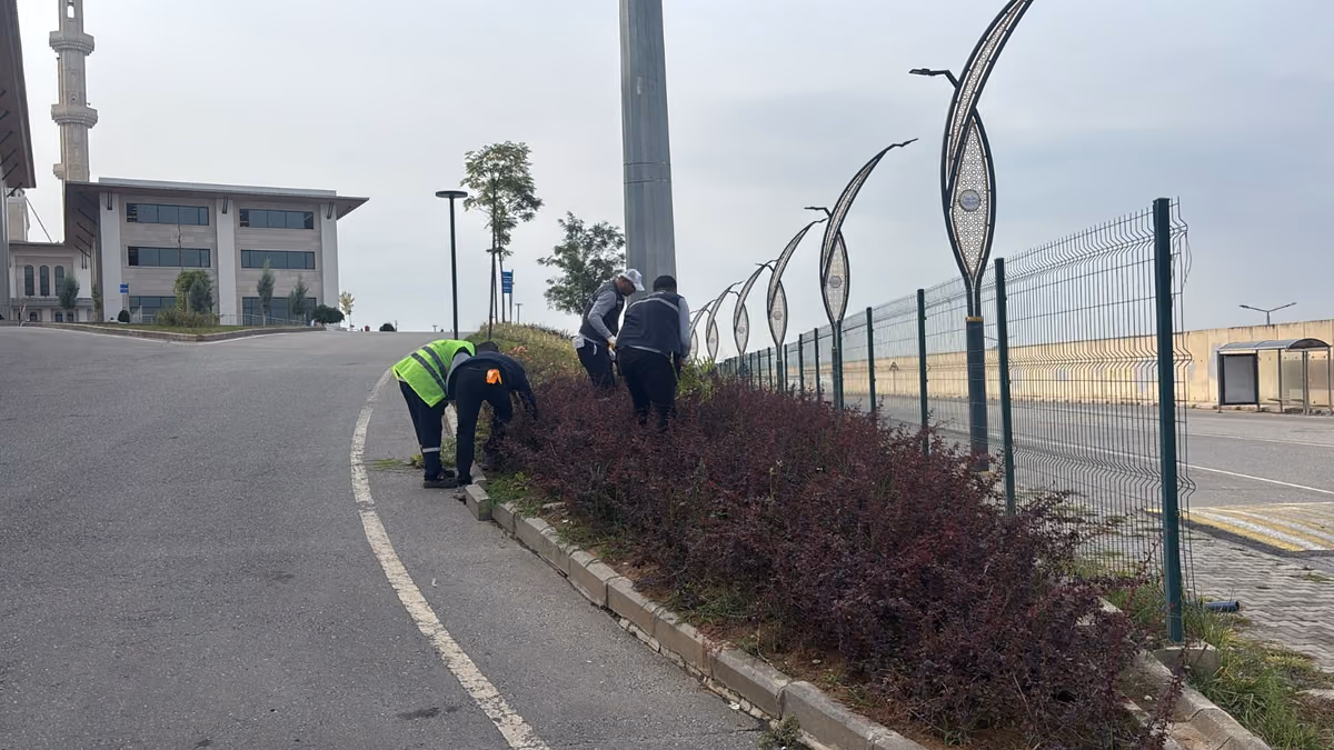 PARKLAR KIŞA HAZIRLANIYOR (2)