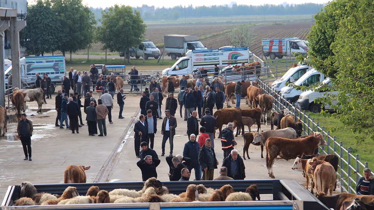 RÜZGAR “HAYVANCILIK OSB KURULURSA ET FİYATLARI DÜŞER” (4)