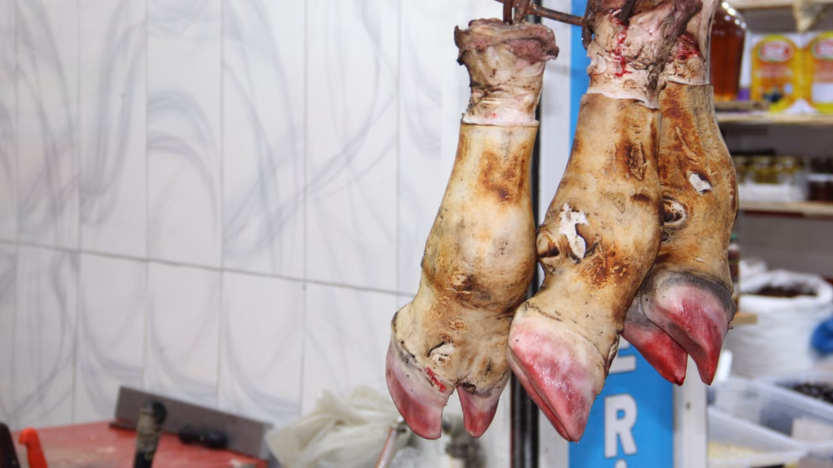 SOĞUK HAVALAR SAKATAT SATIŞLARINI ARTIRDI (1)