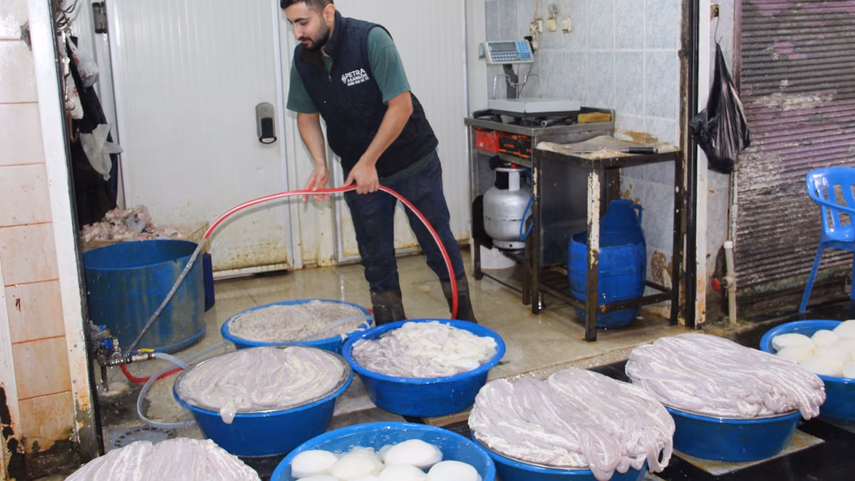 SOĞUK HAVALAR SAKATAT SATIŞLARINI ARTIRDI (5)