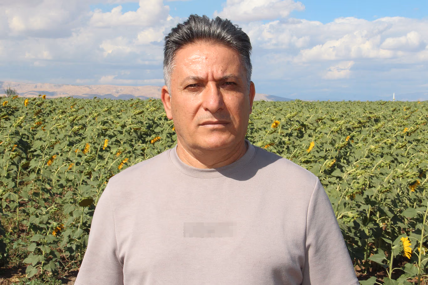 YAĞLIK AYÇİÇEĞİ ÜRETİMİ YAYGINLAŞTIRILACAK (4)