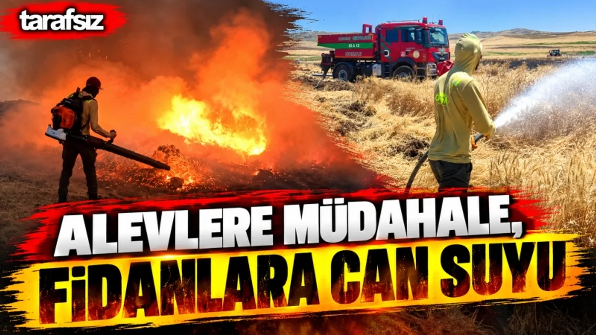 ALEVLERE MÜDAHALE, FİDANLARA CAN SUYU
