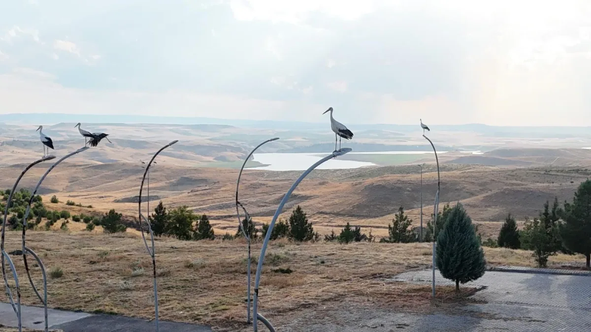LEYLEKLER BATI RAMAN KAMPÜSÜ’NÜ RENKLENDİRDİ