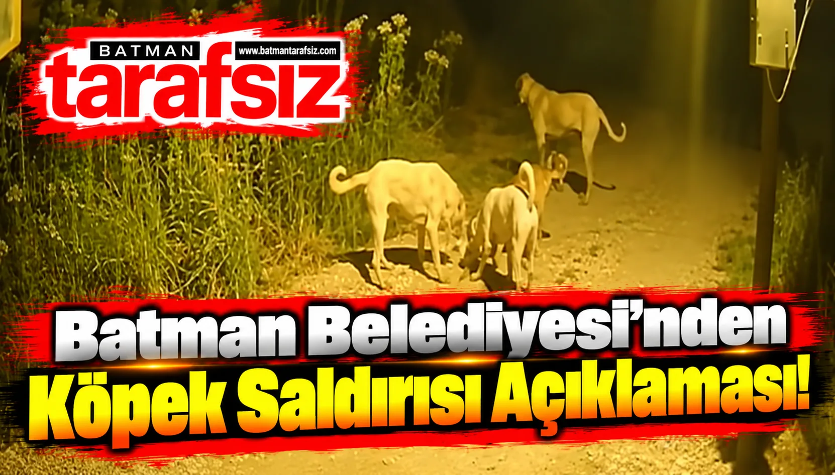 Batman Belediyesi'nden Köpek Saldırısı Açıklaması!