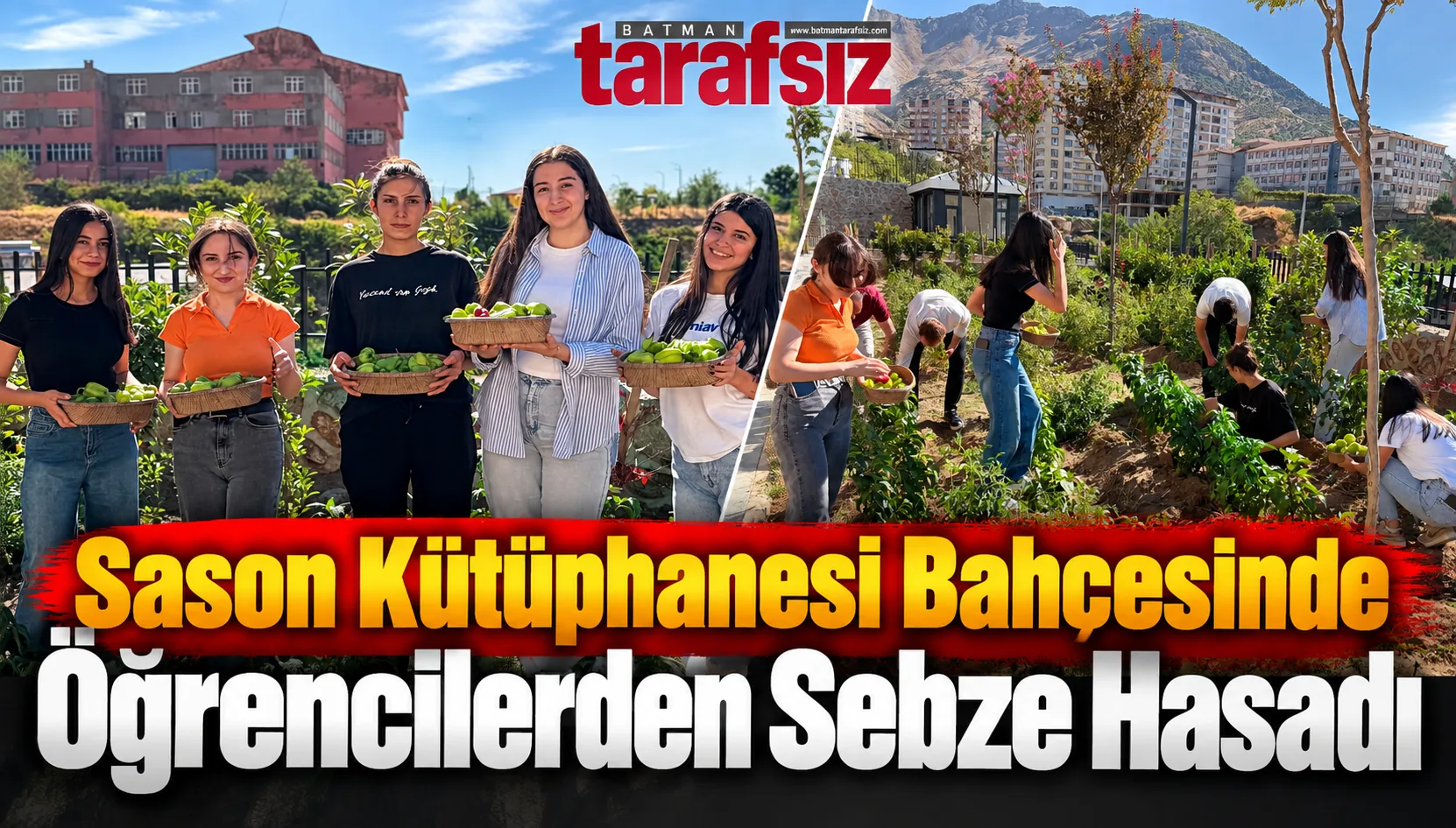 Sason Kütüphanesi Bahçesinde Öğrencilerden Sebze Hasadı