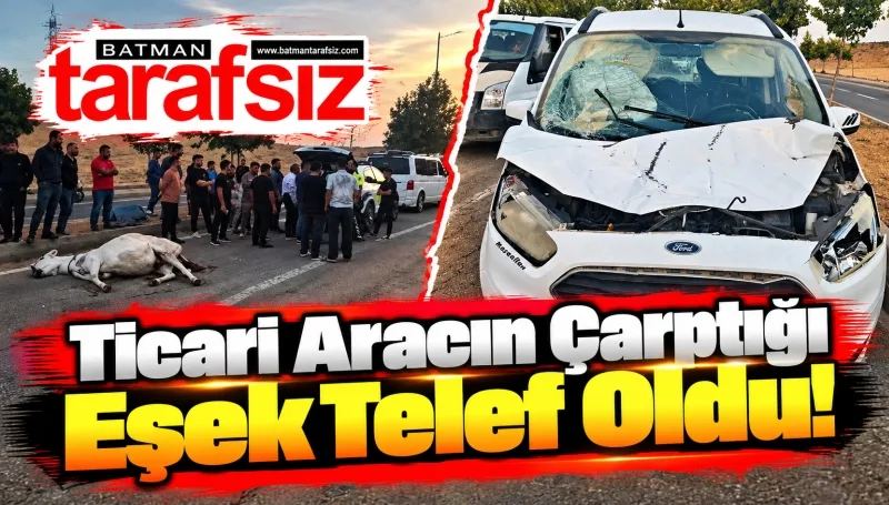Ticari Aracın Çarptığı Eşek Telef Oldu!