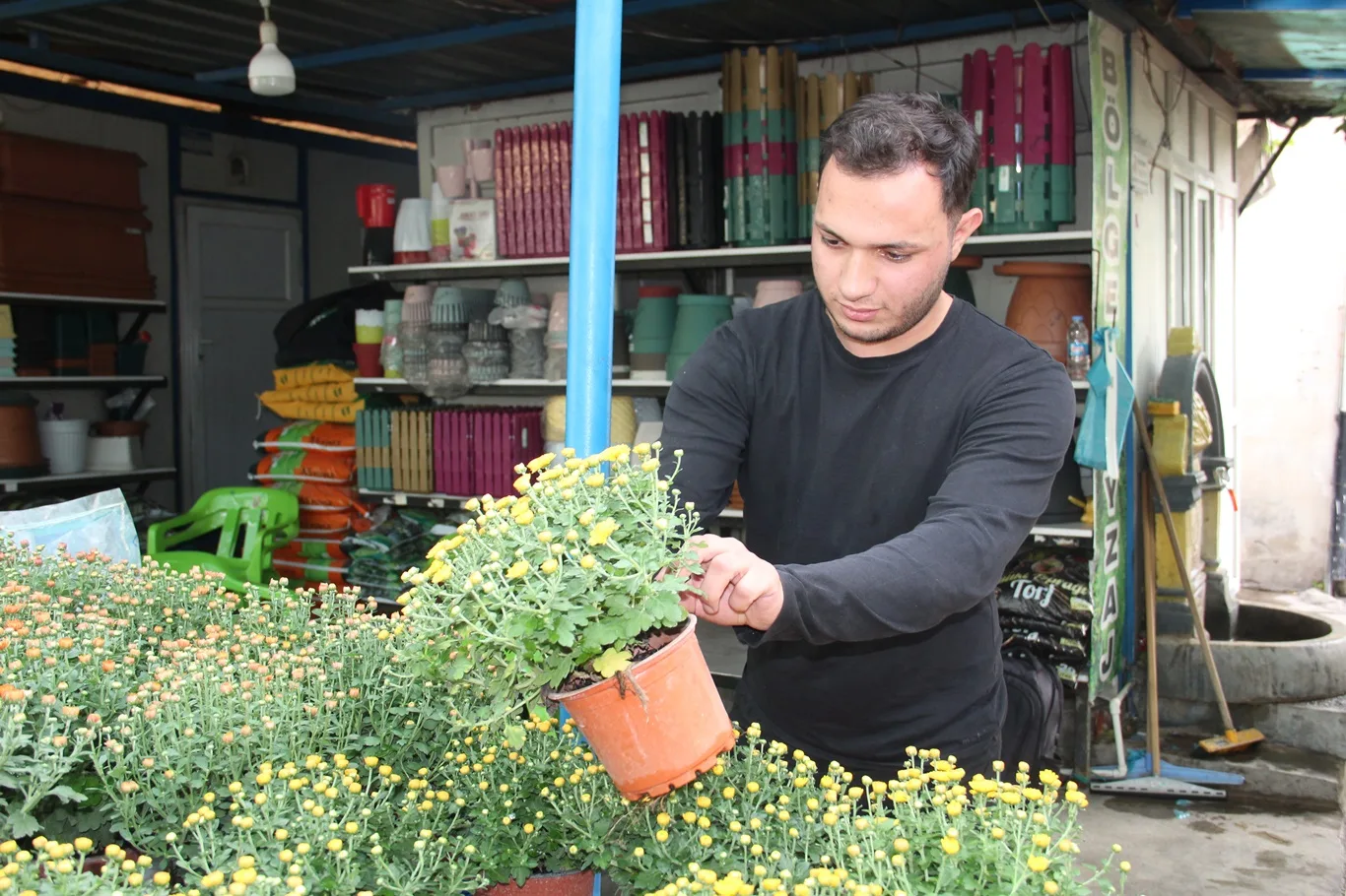 FİDAN VE ÇİÇEK SATIŞLARINDA SONBAHAR HAREKETLİLİĞİ