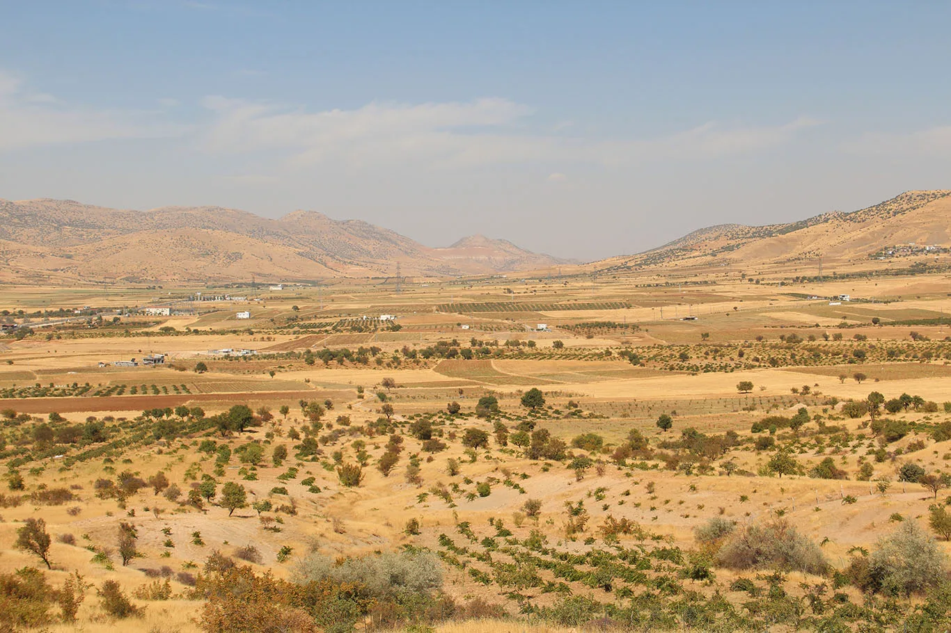GERCÜŞ’TE 85 BİN DÖNÜM TARIM ARAZİSİ ATIL DURUMDA