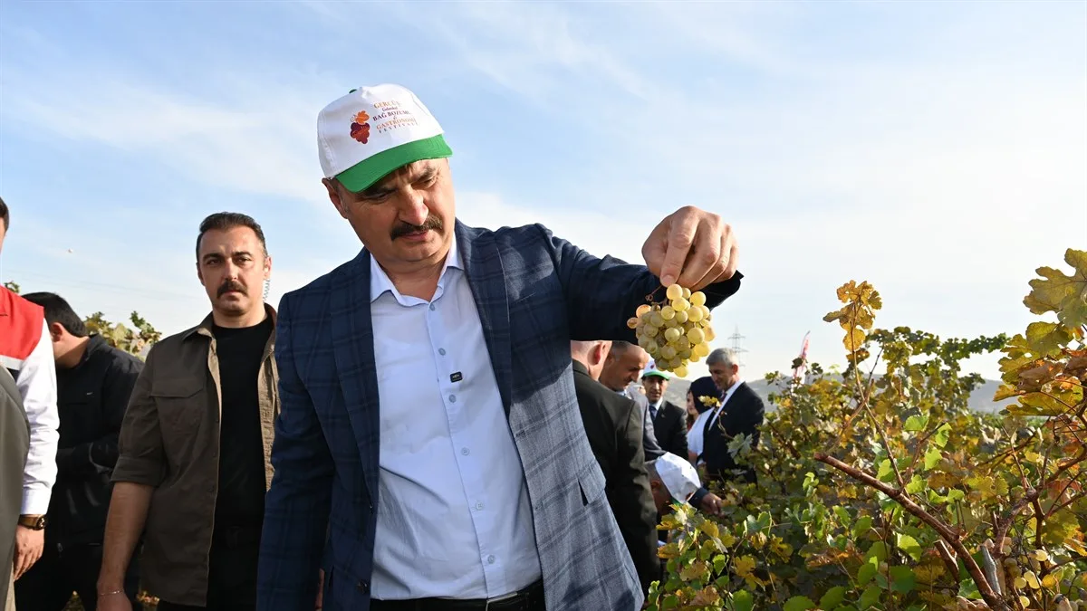 GERCÜŞ’TE BAĞBOZUMU FESTİVALİ COŞKUSU