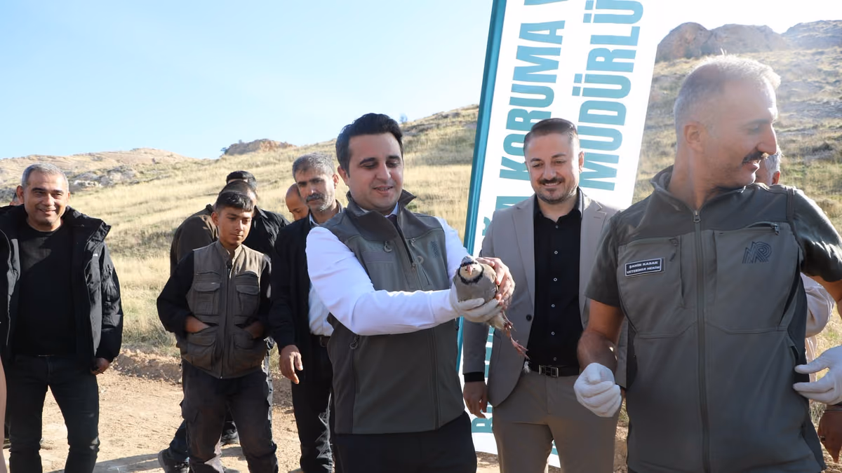 HASANKEYF’TE CEYLAN VE KEKLİKLER DOĞAYA SALINDI