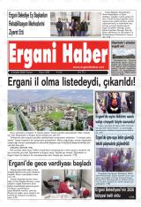 ERGANİ HABER