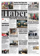 ŞEMDİNLİ HABER