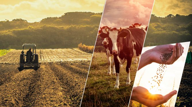 2024 YILINDA ÇİFTÇİLERE VERİLECEK BİTKİSEL ÜRETİM DESTEKLERİ AÇIKLANDI