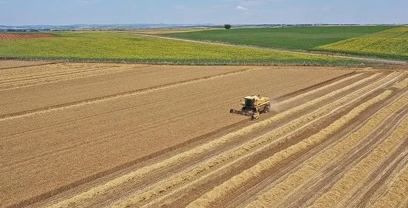 İKİ YIL ÜST ÜSTE İŞLENMEYEN TARIM ARAZİLERİ KİRAYA VERİLECEK