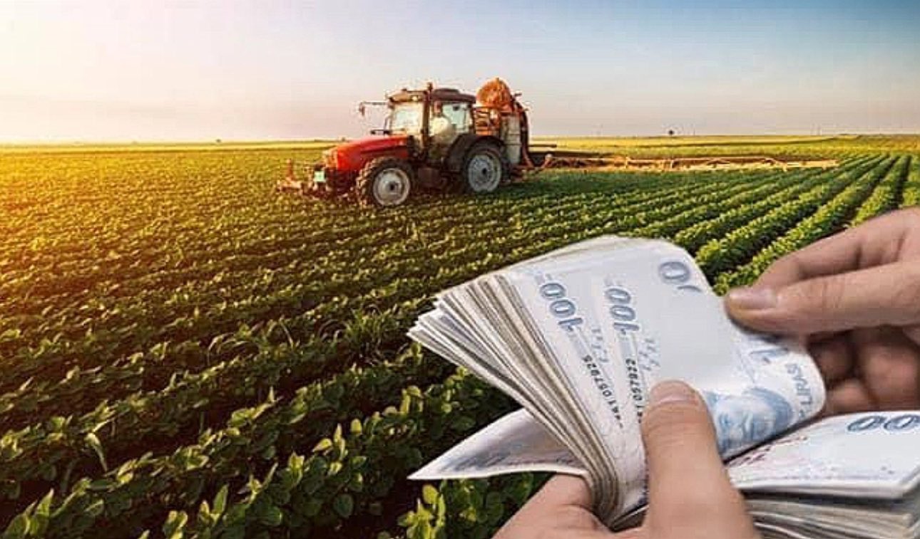 ÇİFTÇİLERE BU YIL VERİLECEK BİTKİSEL ÜRETİM DESTEKLERİ AÇIKLANDI