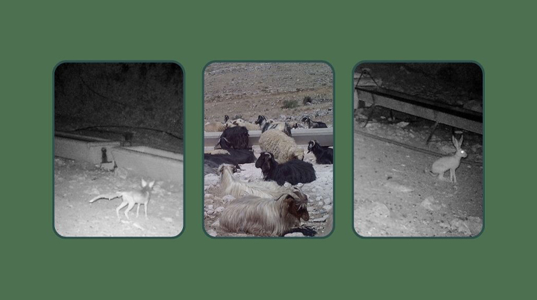 BATMAN’DA BİYOLOJİK ÇEŞİTLİLİK GÖRÜNTÜLENMEYE BAŞLANDI