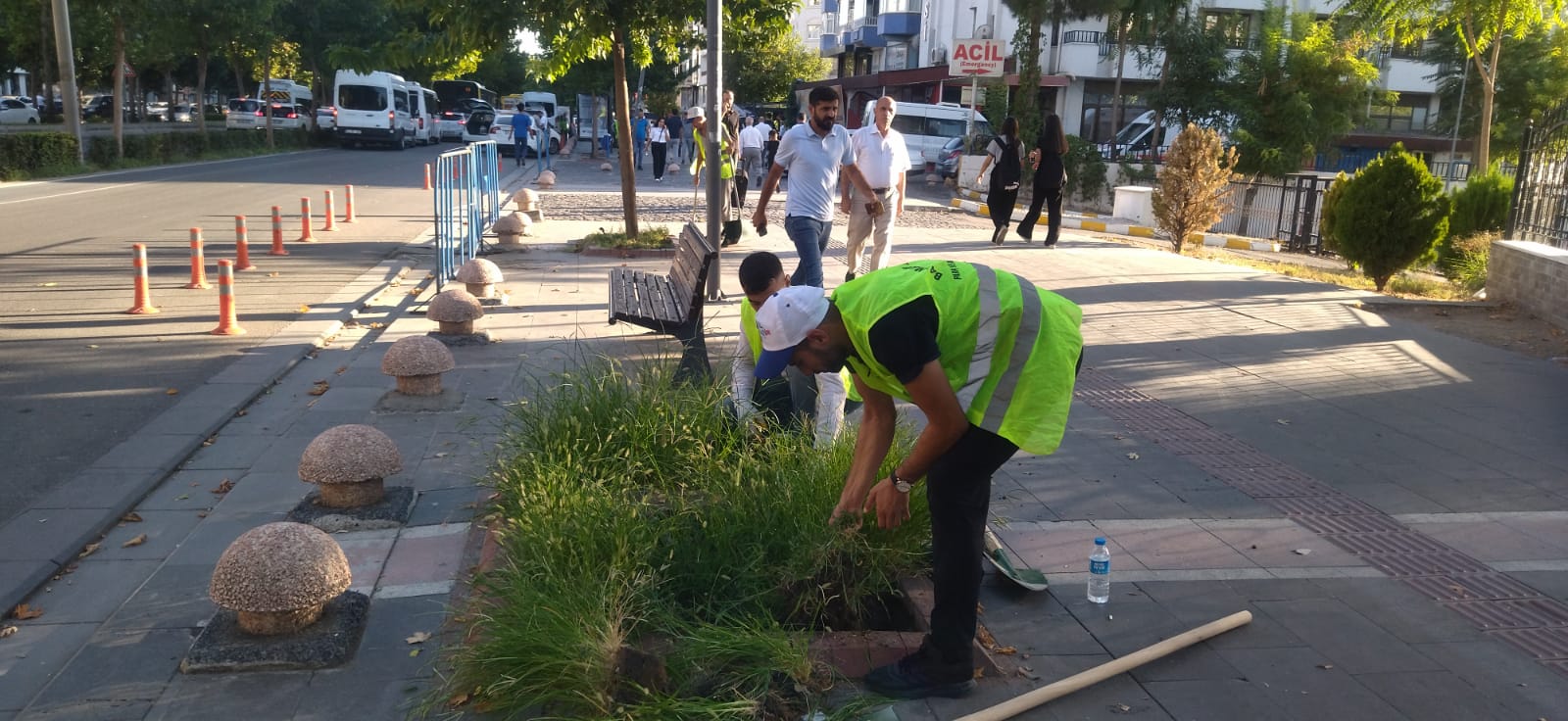 BATMAN YABANİ OTLARDAN ARINIYOR