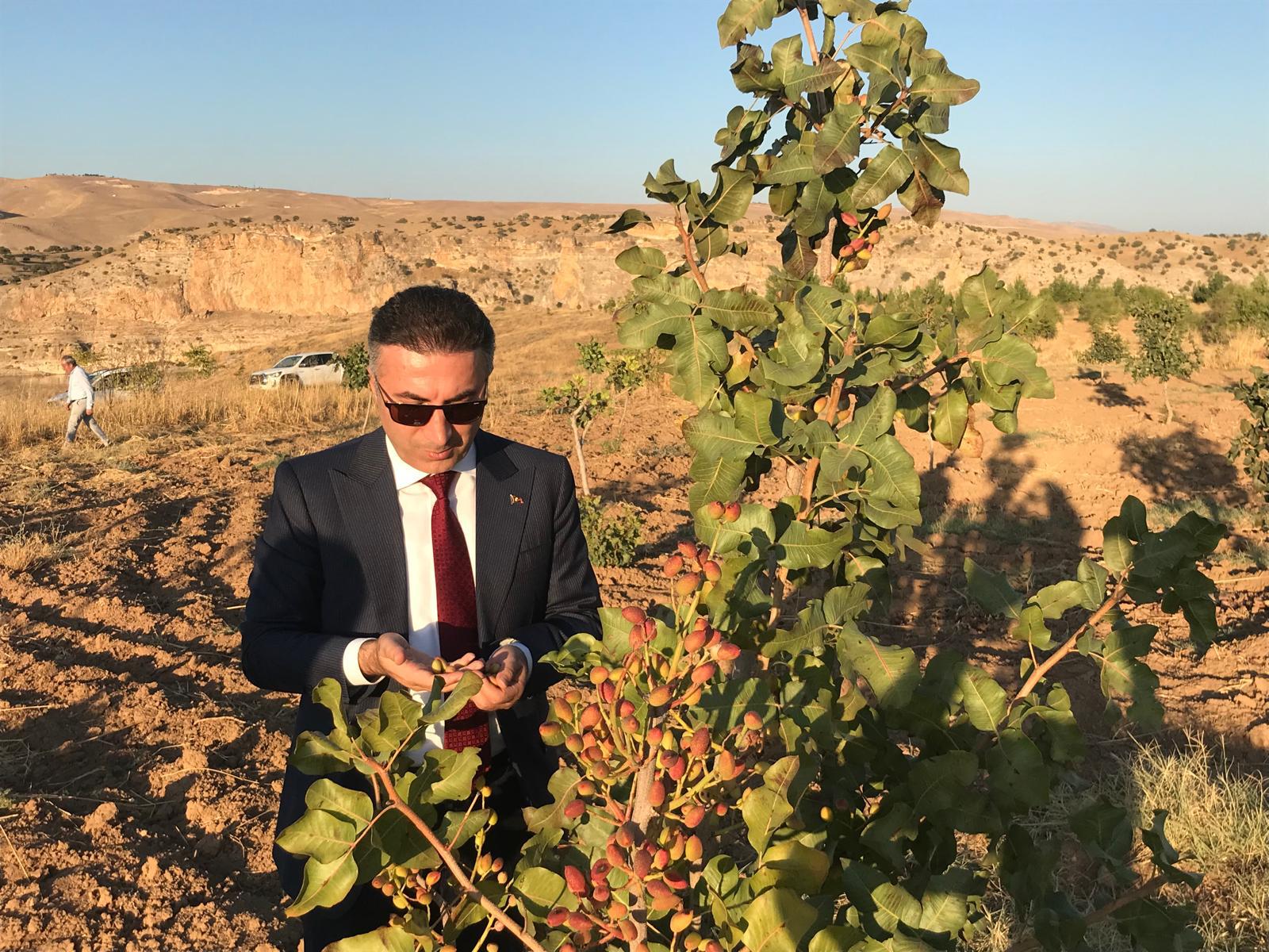 GELİRİ ÖĞRENCİLERE BURS OLARAK VERİLECEK