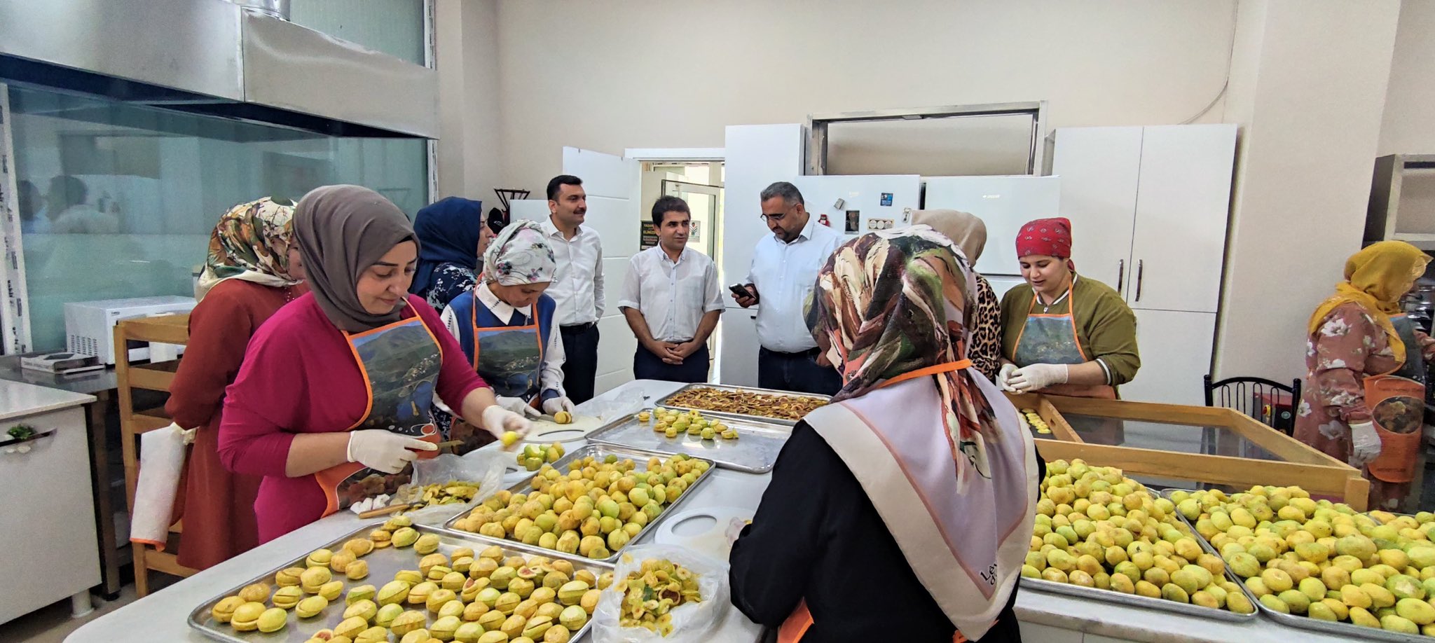 KADINLAR BENATİ İNCİRİ İLE İNCİR CİPSİ ÜRETİYOR