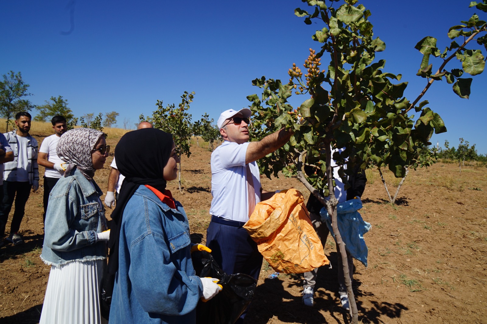 ÜNİVERSİTEDE İLK FISTIK HASADI GERÇEKLEŞTİRİLDİ