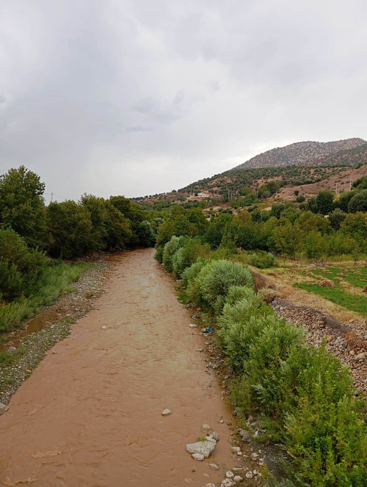 YAĞMUR SASON ÇAYI’NA HAYAT VERDİ