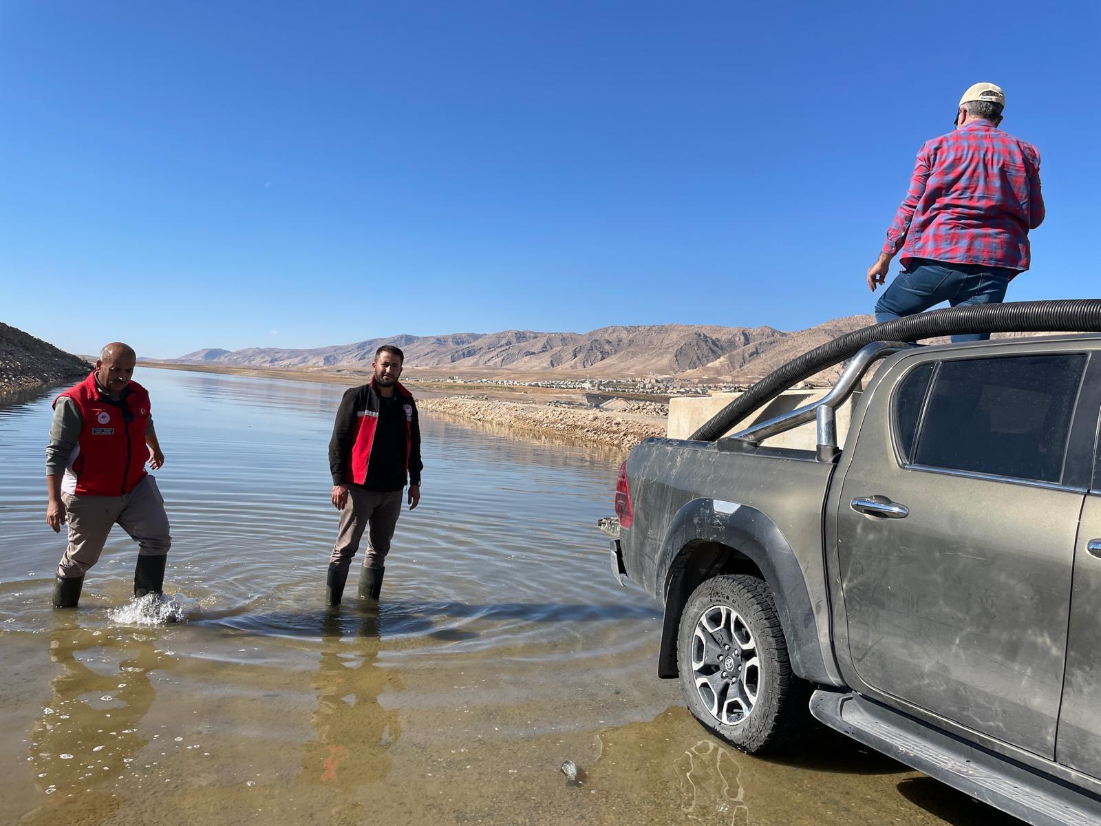 ILISU BARAJ GÖLÜ’NE 1 MİLYON ŞABUT BALIĞI BIRAKILDI