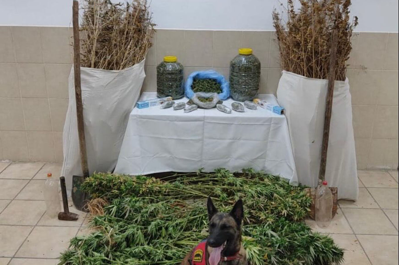 EV VE BAHÇESİNDE 12 KİLOGRAM UYUŞTURUCU ELE GEÇİRİLDİ