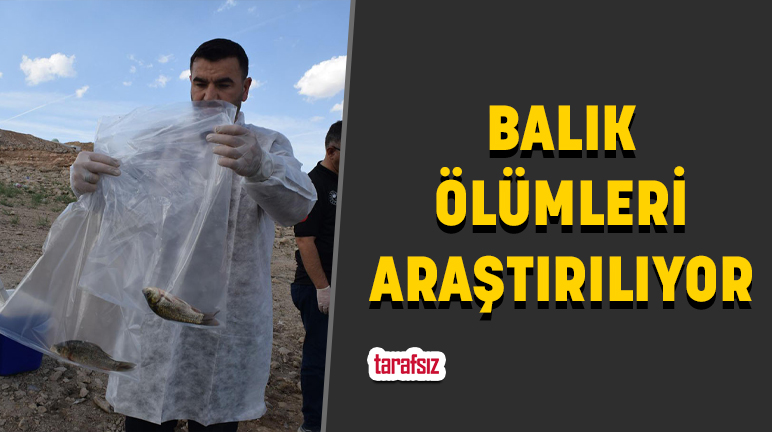 BALIK ÖLÜMLERİ ARAŞTIRILIYOR