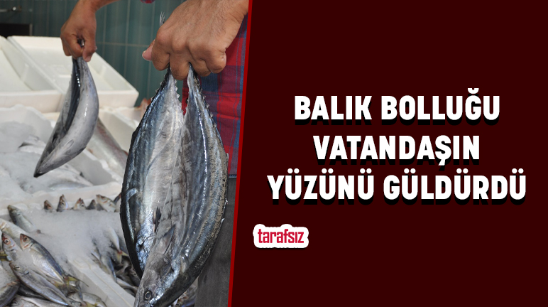 BALIK BOLLUĞU VATANDAŞIN YÜZÜNÜ GÜLDÜRDÜ
