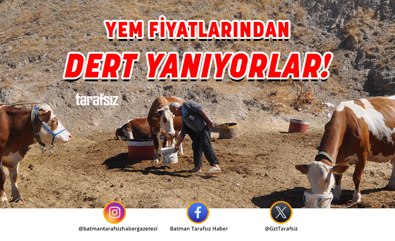 YEM FİYATLARINDAN DERT YANIYORLAR!