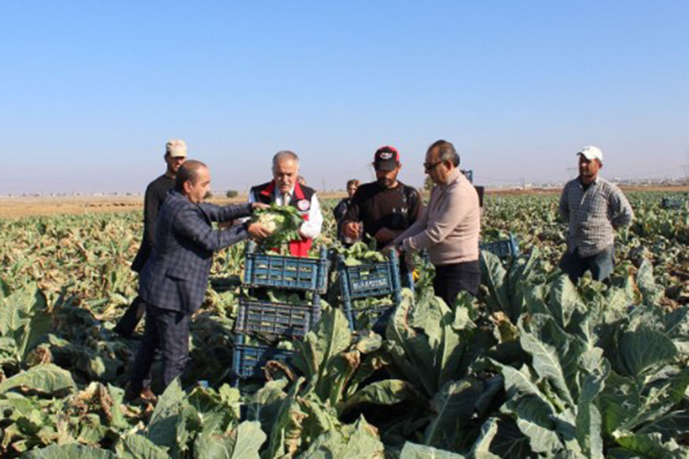 İKİNCİ ÜRÜN SEBZE YETİŞTİRİCİLİĞİNİN YAYGINLAŞTIRILMASI HEDEFLENİYOR