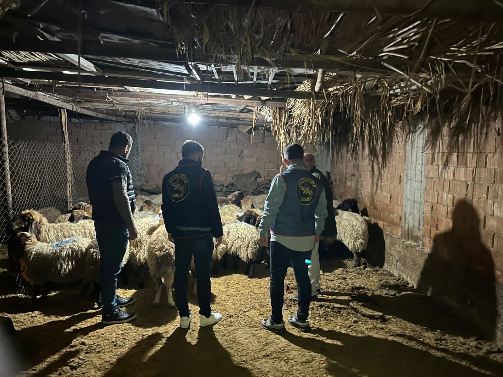 BATMAN’DA 54 KÜÇÜKBAŞ HAYVAN ÇALAN 2 ŞAHIS TUTUKLANDI