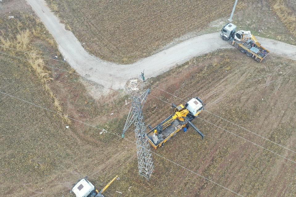 DİCLE ELEKTRİK’TEN DOĞAL YAŞAMA DESTEK