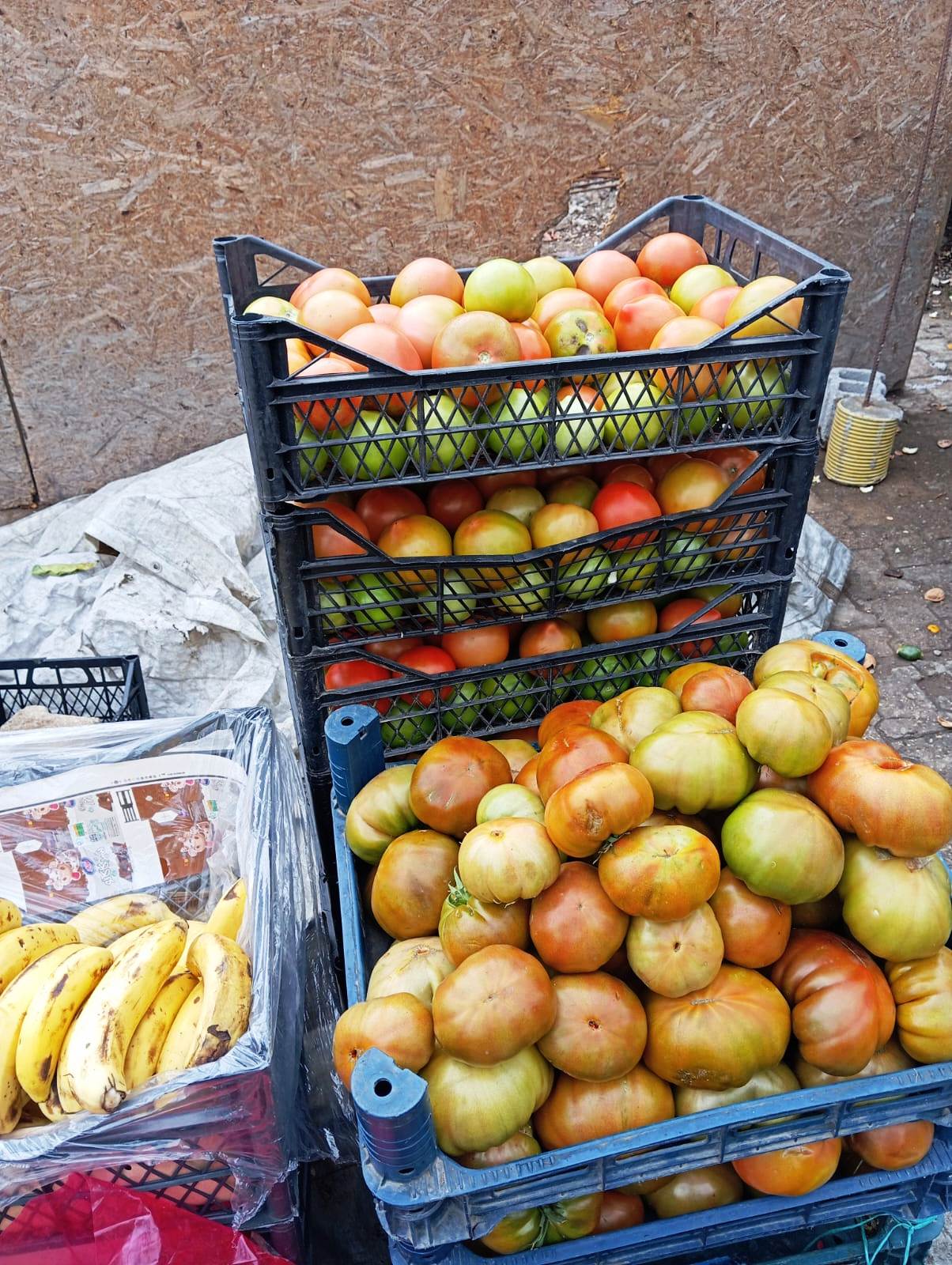 DOMATES FİYATLARI YÜKSELMEYE DEVAM EDİYOR