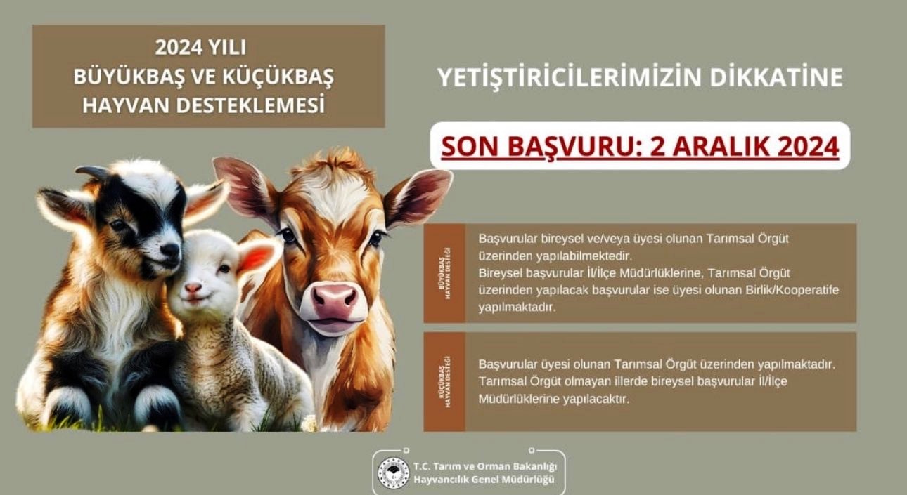 Hayvan destekleme programı için başvurular başladı