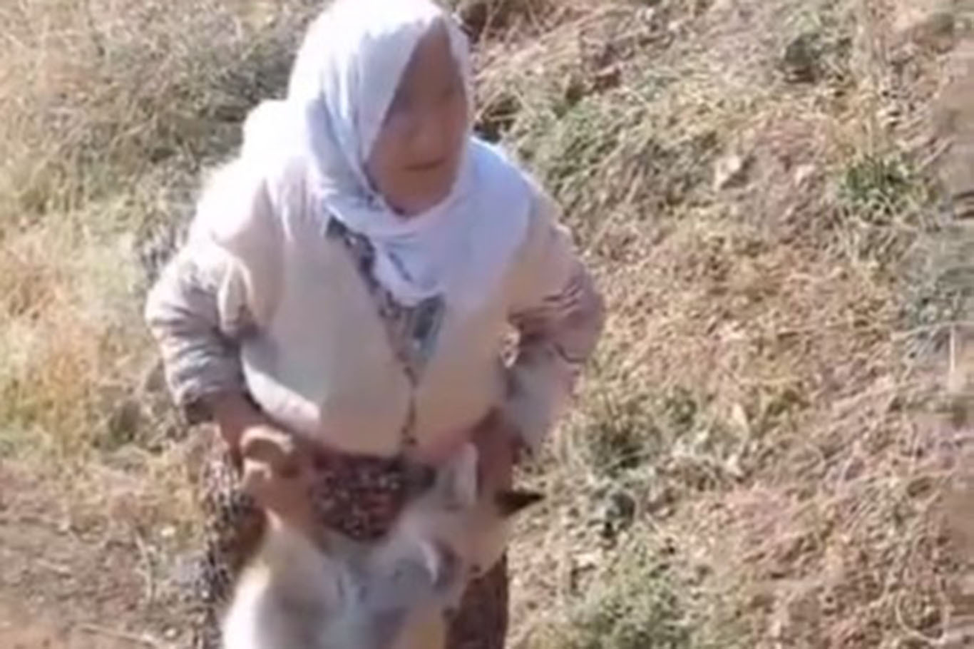Tavuk kümesine giren tilkiyi eliyle yakaladı!