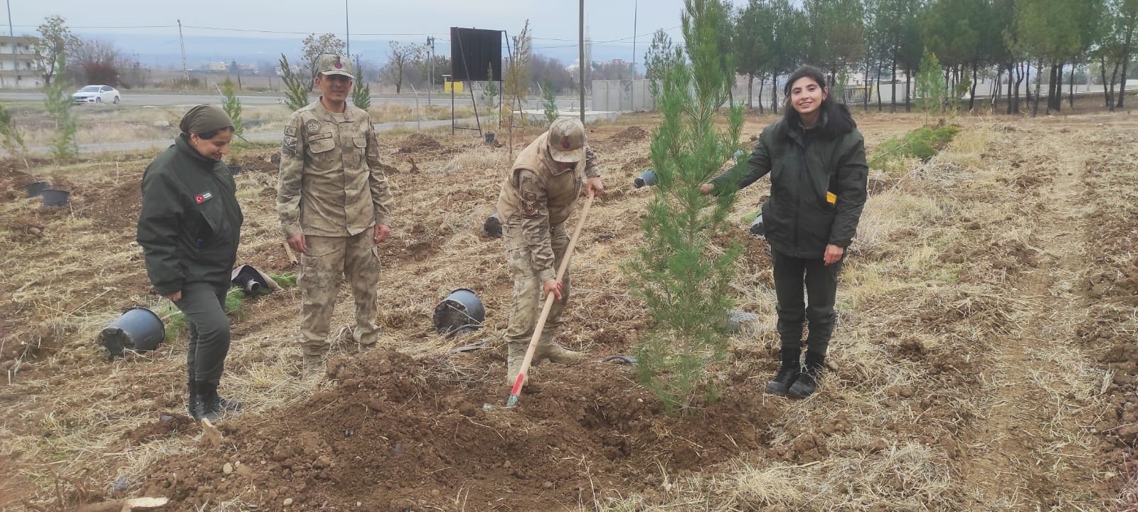 Türkiye Yüzyılı Mehmetçik Hatıra Ormanı’na 500 Yeni Fidan Dikildi