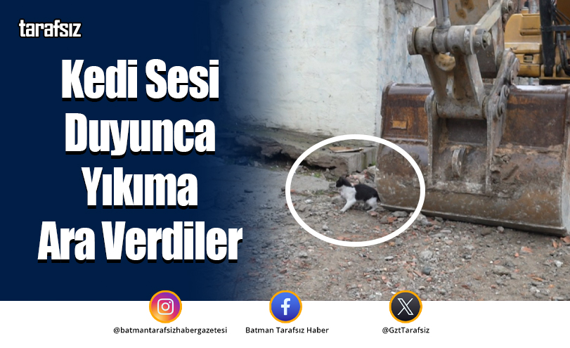 Kedi Sesi Duyunca Yıkıma Ara Verdiler