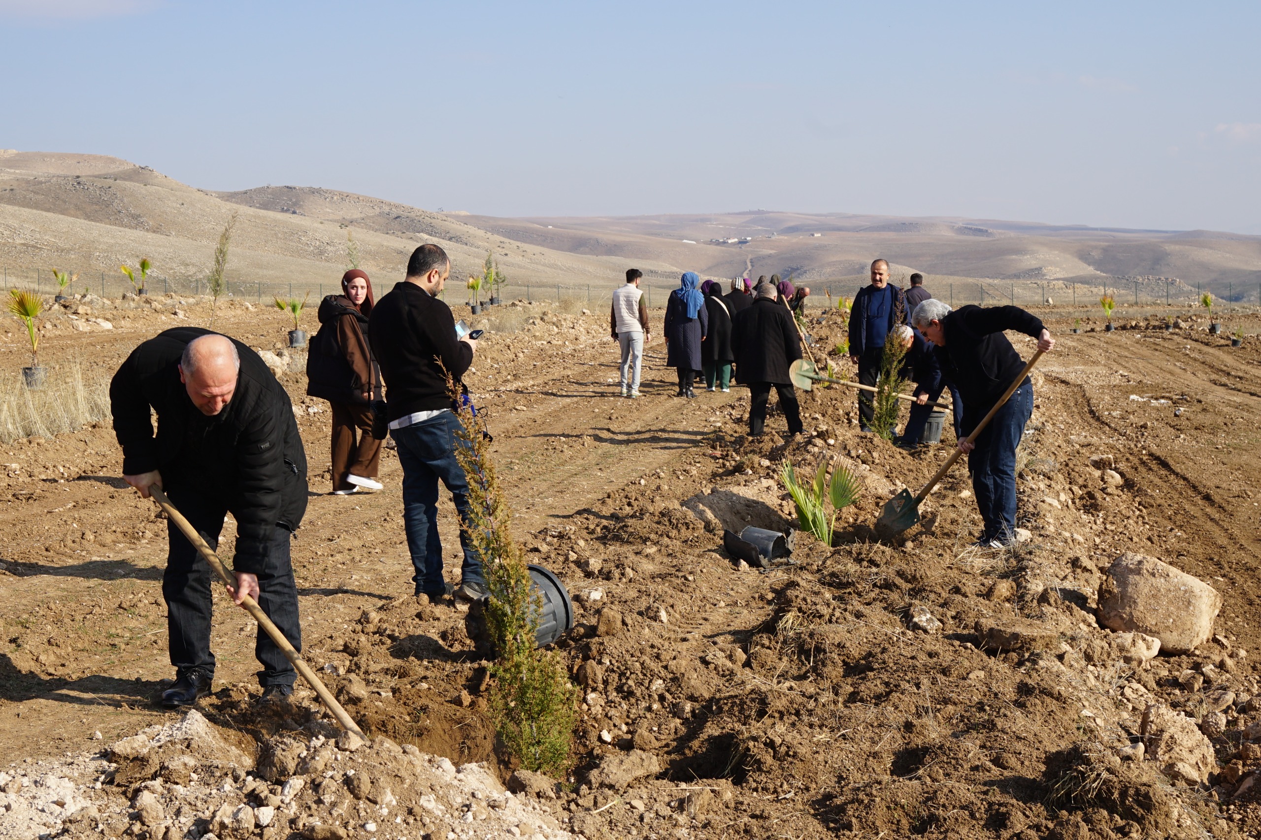 60+ Tazelenme Üniversitesi Öğrencileri Fidan Dikti