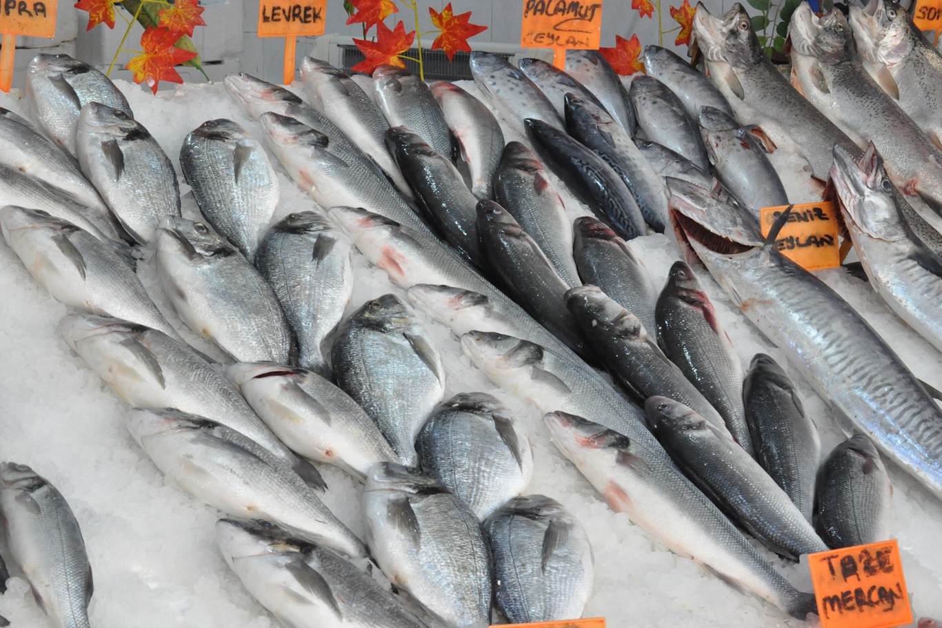 Balık Fiyatları Yeni Yılda Sabit Kaldı