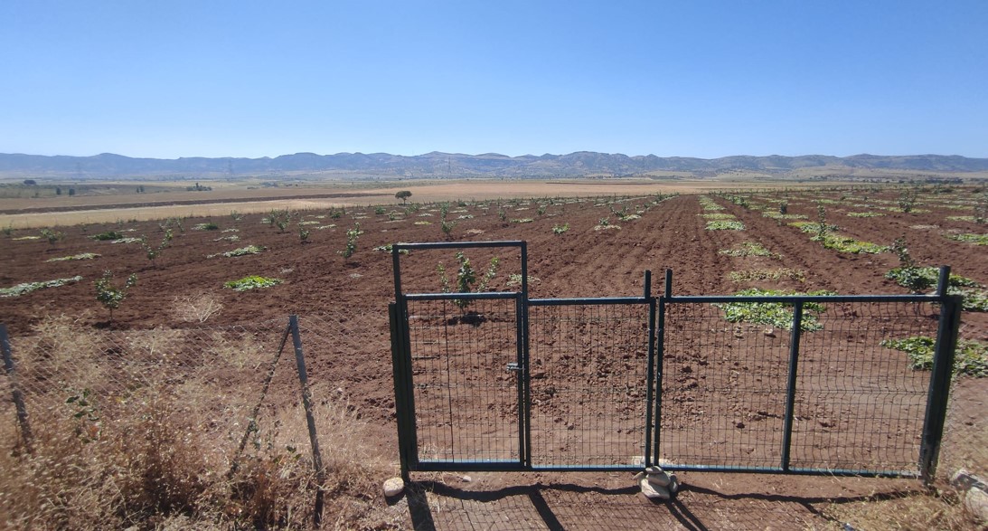 Çiftçilere 80 Milyon TL’lik Ağaçlandırma Desteği