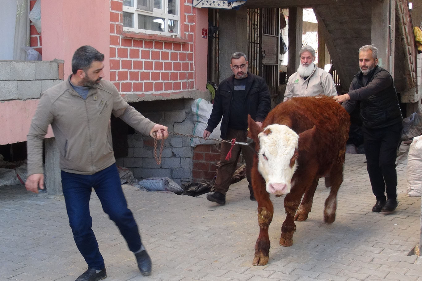 Danasını Gazze’ye Bağışladı