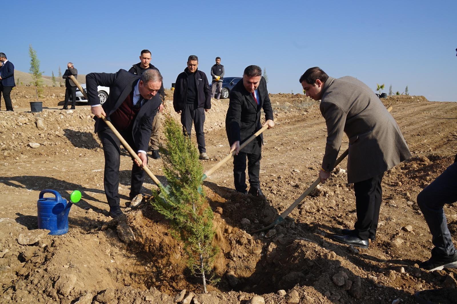 Engelsiz Bireyler, Üniversitede Fidan Dikti