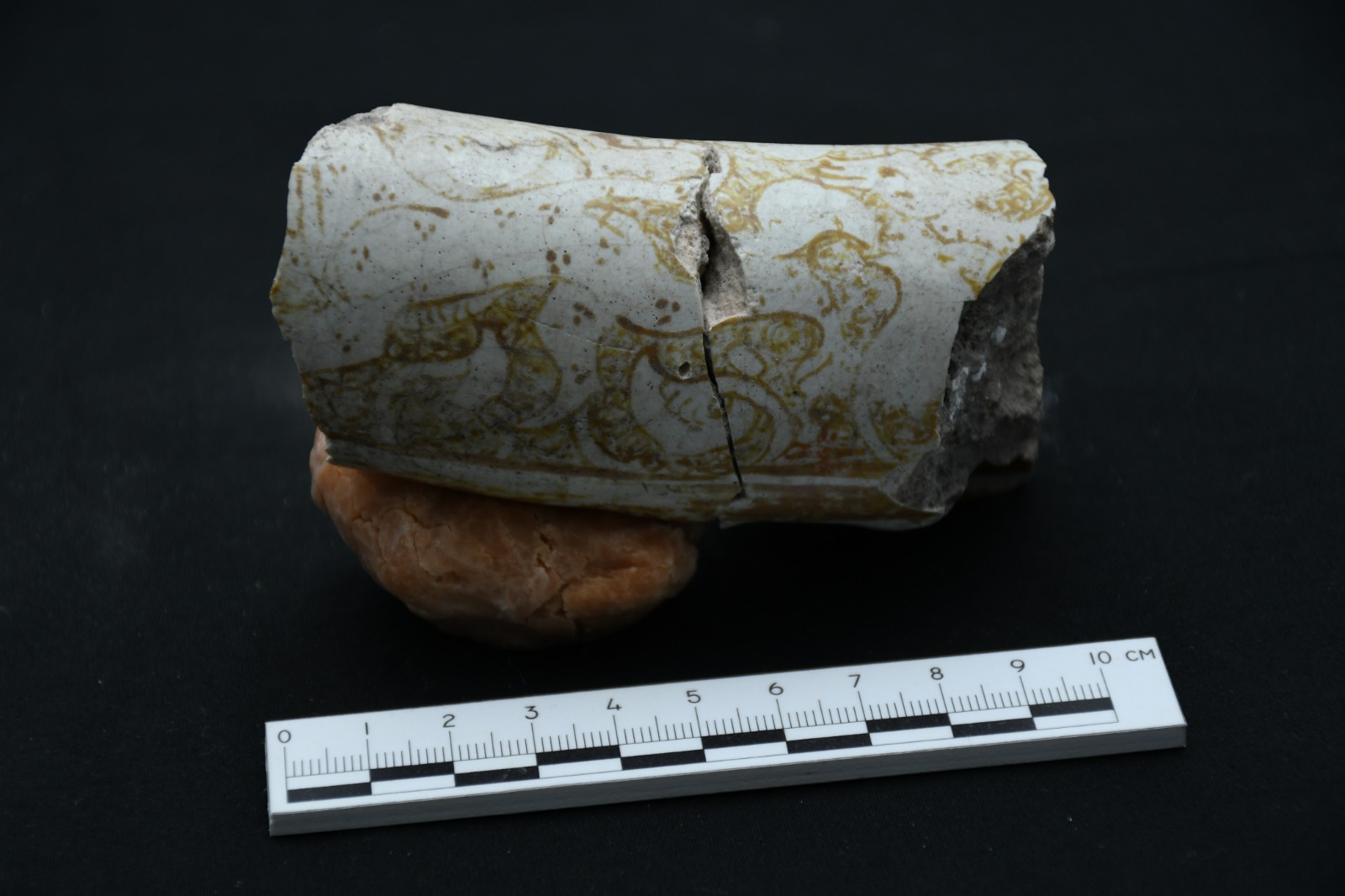 Hasankeyf’te Anadolu Parsı İzi bulundu