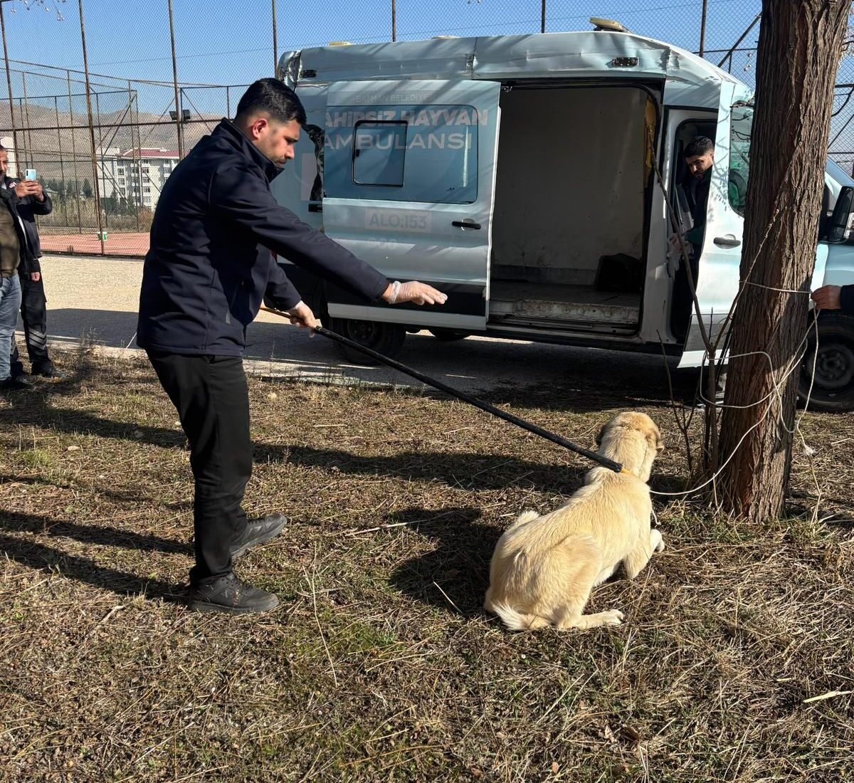 KISIRLAŞTIRMA VE AŞILAMA ÇALIŞMALARI DEVAM EDİYOR